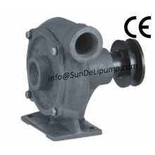 Centrifugal Cast Iron Marine Sea Water Pump for Marine Diesel Engine Cooling